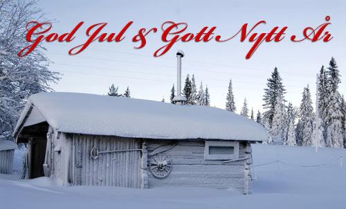 Skogen i skolan önskar god jul och gott nytt år!