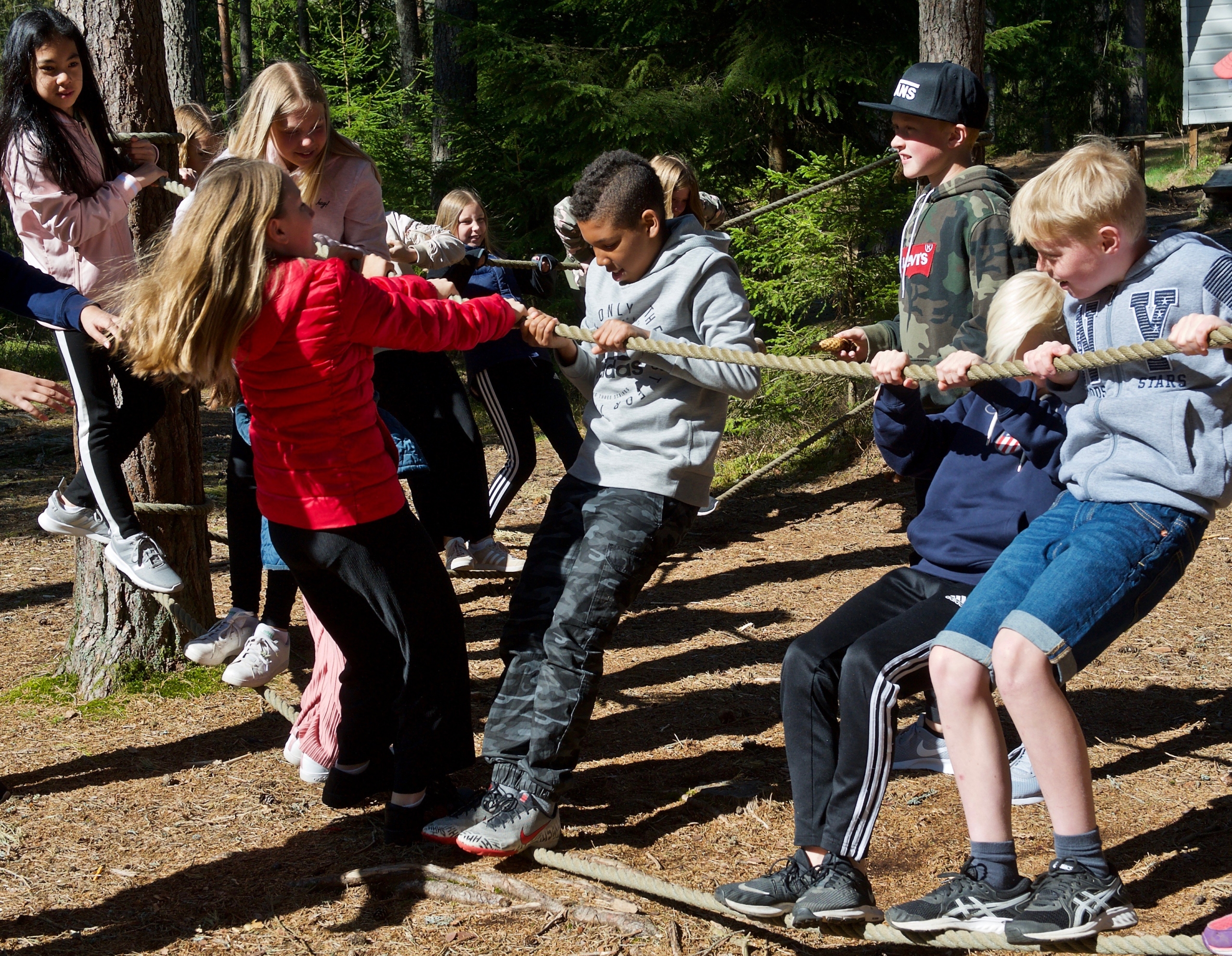 Skolklass som är ute i skogen och testar en repbana.
